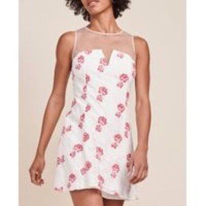 ✨BB Dakota RSVP Flavia Embroidered Lace Dress